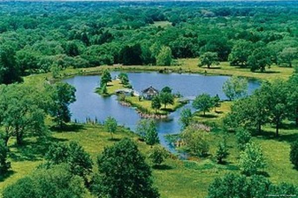 Hotel BLISSWOOD BED AND BREAKFAST (Cat Spring)
